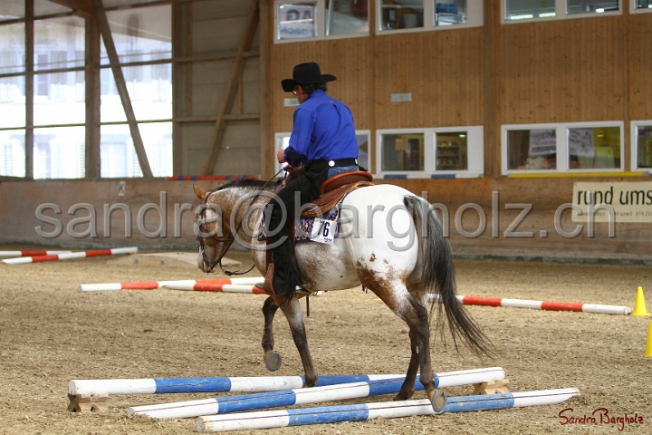 26-ApHC GT_091.jpg